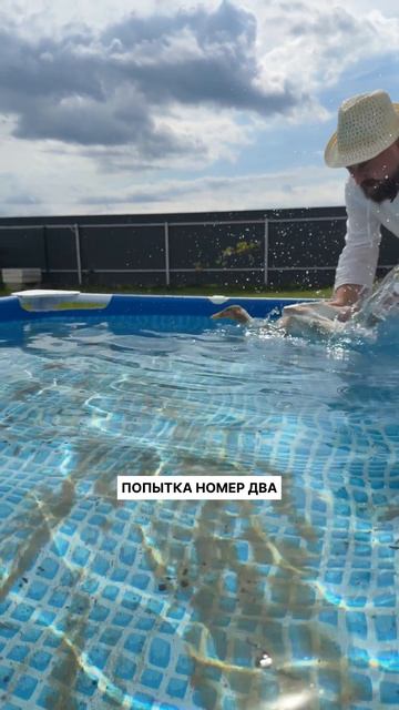 А ещё водоплавающие называется 😂