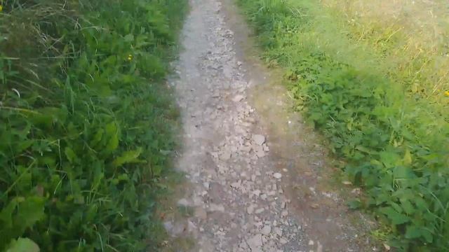 я поехала в верëвочный парк. 
с семьёй