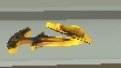 Играю в бомбу с нычкой затычкой в POLYWAR