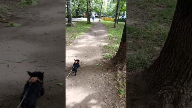 Наша дорога домой🤗🥰💖