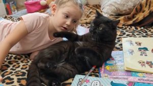 🐈⬛ Кот Сажик не подушка! 😄😻