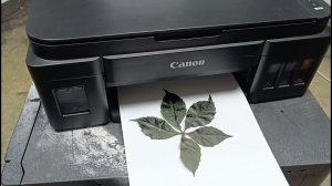 Canon g3415 делаем копию живого листа. Результат!