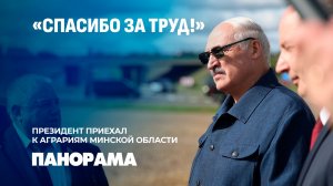 Автомобили прямо в поле! Лукашенко наградил героев жатвы. Панорама