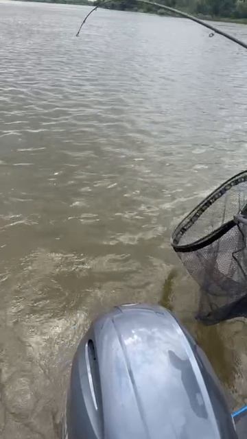 Никто не останется без улова 🎣