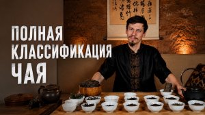Китайский чай. Полная классификация. Трейлер к уроку