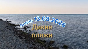 Анапа 13.08.2026 Дикие пляжи