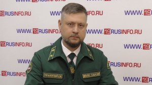 Денис Тогашевский о сборе ягод и кедровых шишек
