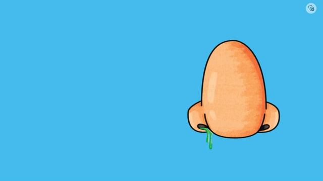 Guess The Body Parts