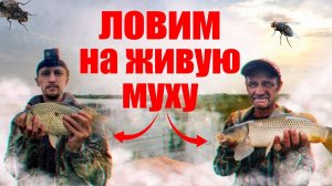 БЕШЕНЫЙ КЛЕВ! РЫБАЛКА НА САЗАНА!