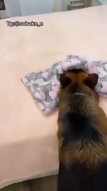 Прятки
