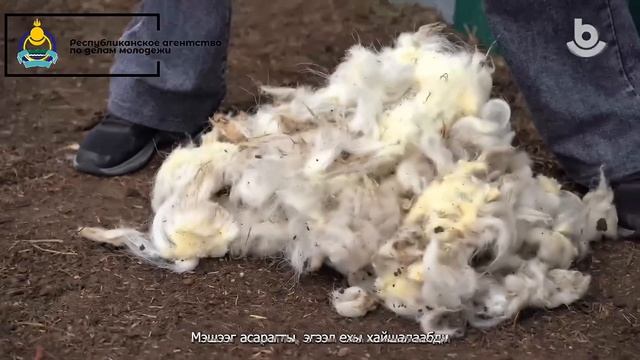Анхарагты! Буряад ТВ-дэ “Бүлэ батл” түсэл!