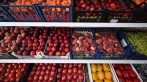 Условия возобновления импорта из Армении назвали в Минсельхозе.