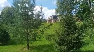 отвечаю.