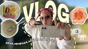 ВЛОГ дачный ✨🌻/отдых перед операцией/природа/собаки/•YANA•/vlog