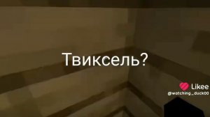 ТВИКСЕЛ, КУДА