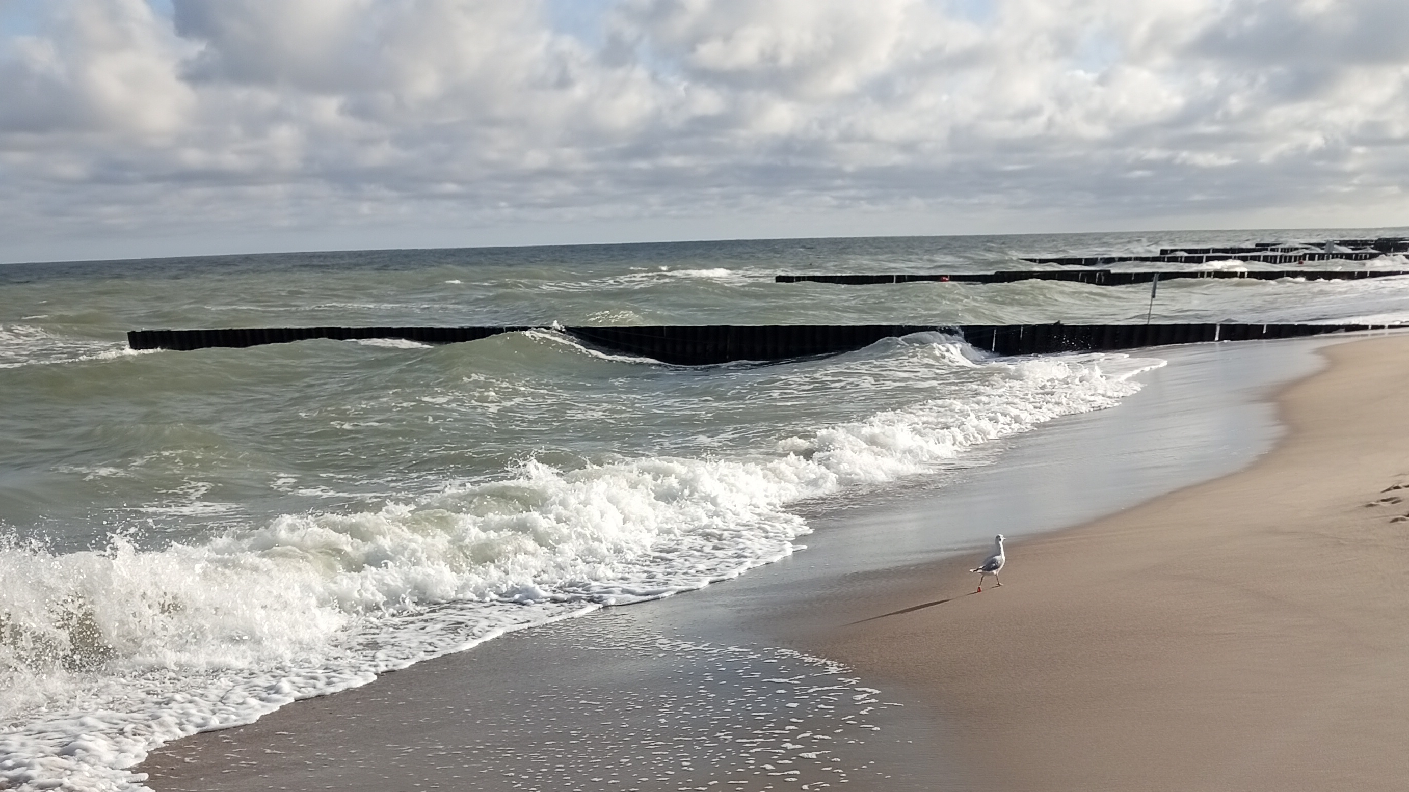 Красота Балтийского моря