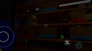 1000016038.mp4