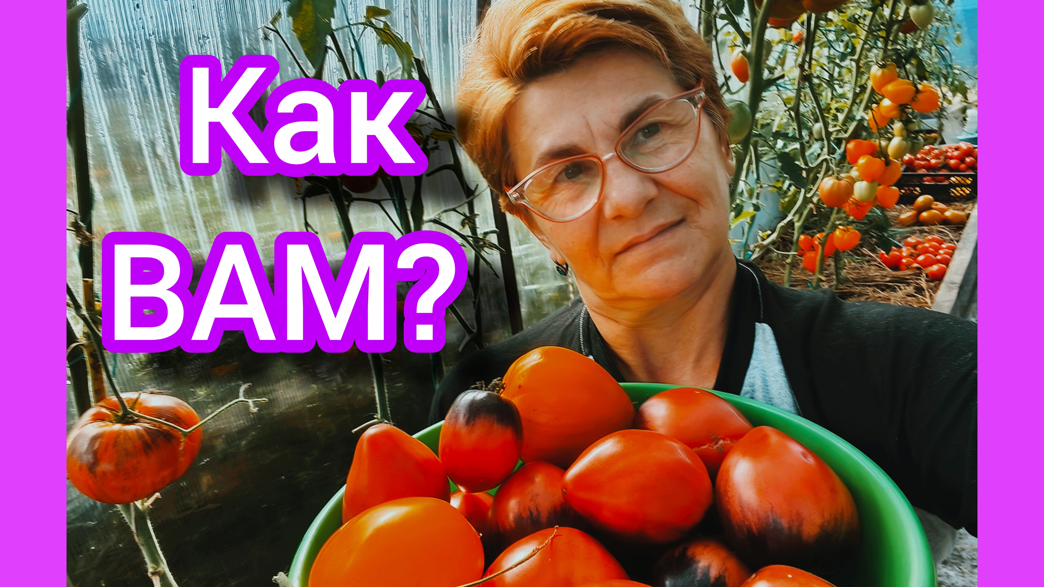 Томаты с отличной урожайностью👍💯