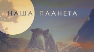 Наша планета - 2 сезон, 4 серия  (сериал, 2019 – 2023) / Our Planet