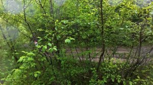 DJI_20260530111239_0003_D