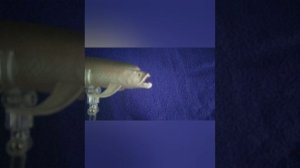 Годзилла и Конг против всех серия 1