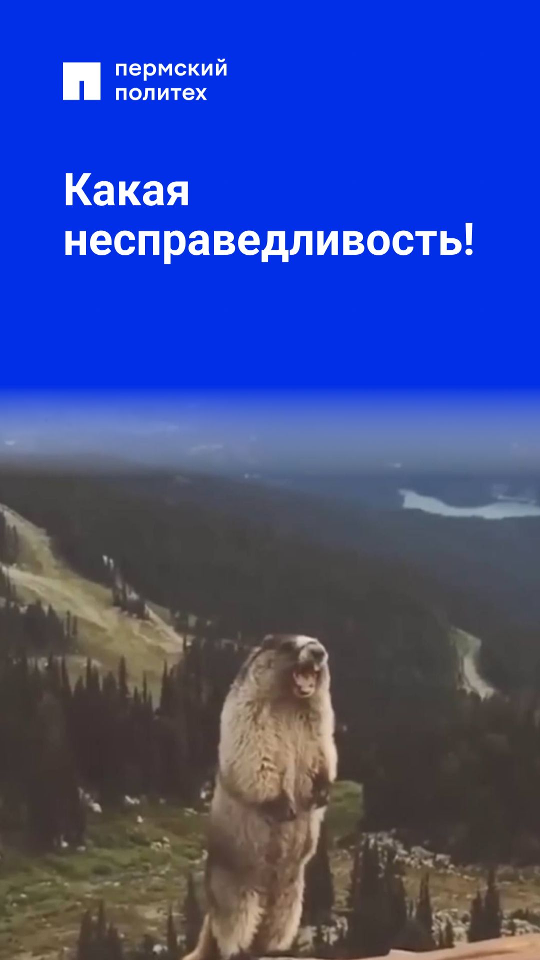 Какая несправедливость!