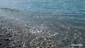 чёрное море в 🌴Абхазии🌴🌊🌊🐳🌊