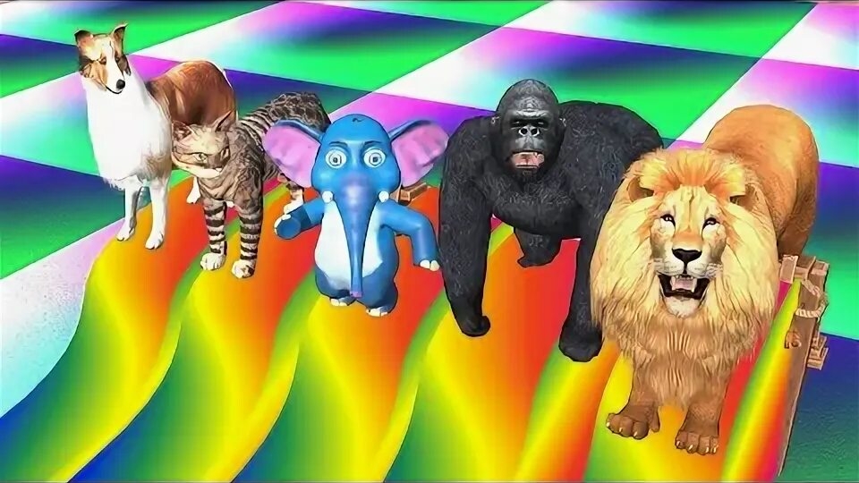 КРАСКИ 🎨🎨🎨 И ЖИВОТНЫЕ 😺😺😺