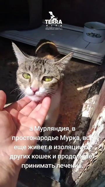 Мурляндия