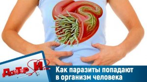 Паразиты  Как ВЫГНАТЬ их из организма И.И