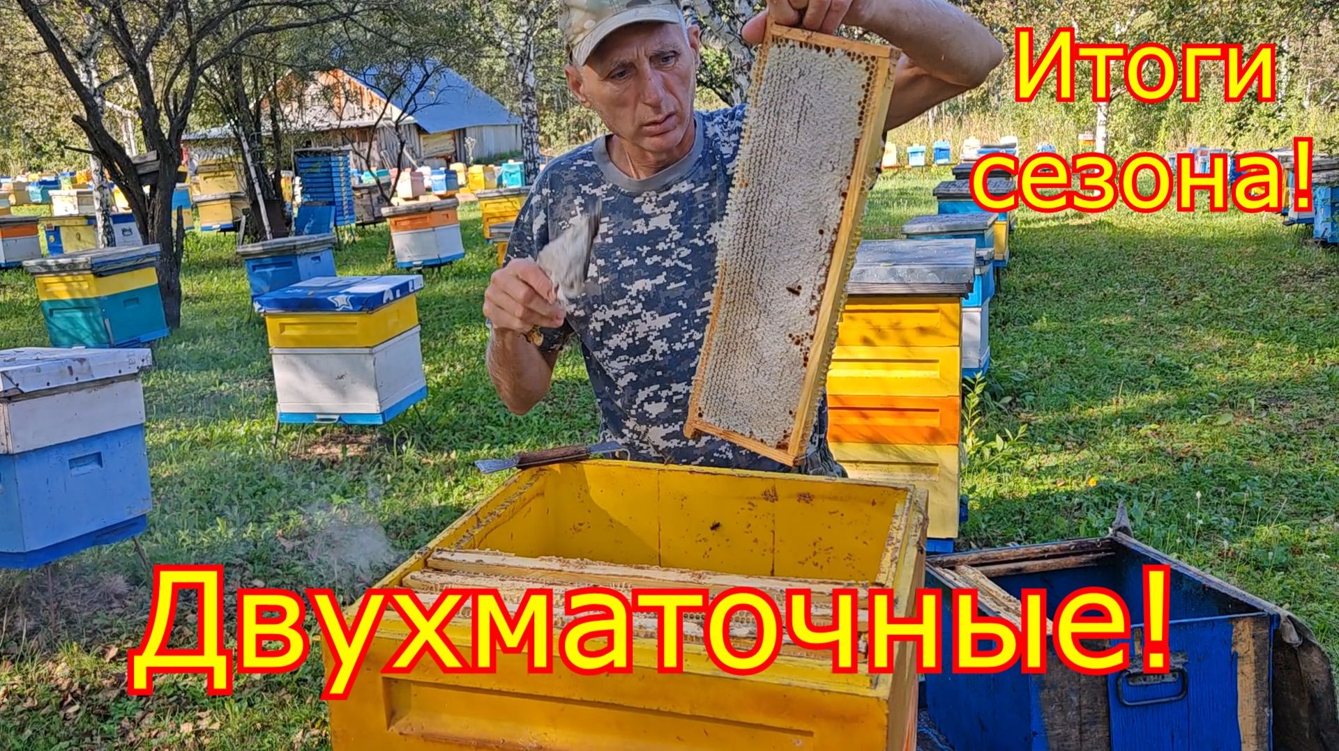 ДВУХМАТОЧНЫЕ! ЧТО по МЁДУ! Итоги сезона 2026