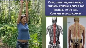 Зажатая линия «копчик-крестец-плечи-шея» портит все здоровье, сокращает жизнь. Упражнения
