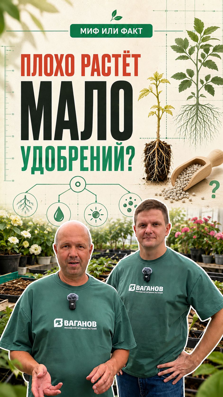 Растение плохо растёт? Не спешите с удобрениями! Миф или факт