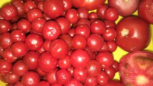 Мои покупки из Евроспар и ларёк фрукты и овощи