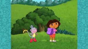 DORA
