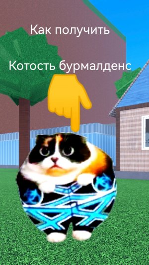 как найти котость бурмалденс