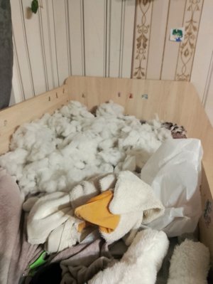 зайди пж