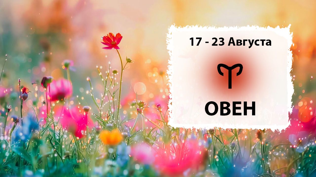 ОВЕН ♈ 17 - 23 Августа 2026 | Расклад таро на неделю для знака Зодиака Овен