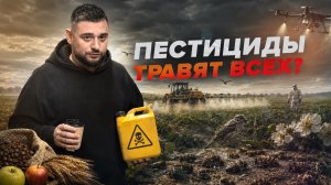 Пестициды убивают пчёл, птиц и людей. Почему мы всё равно их используем?