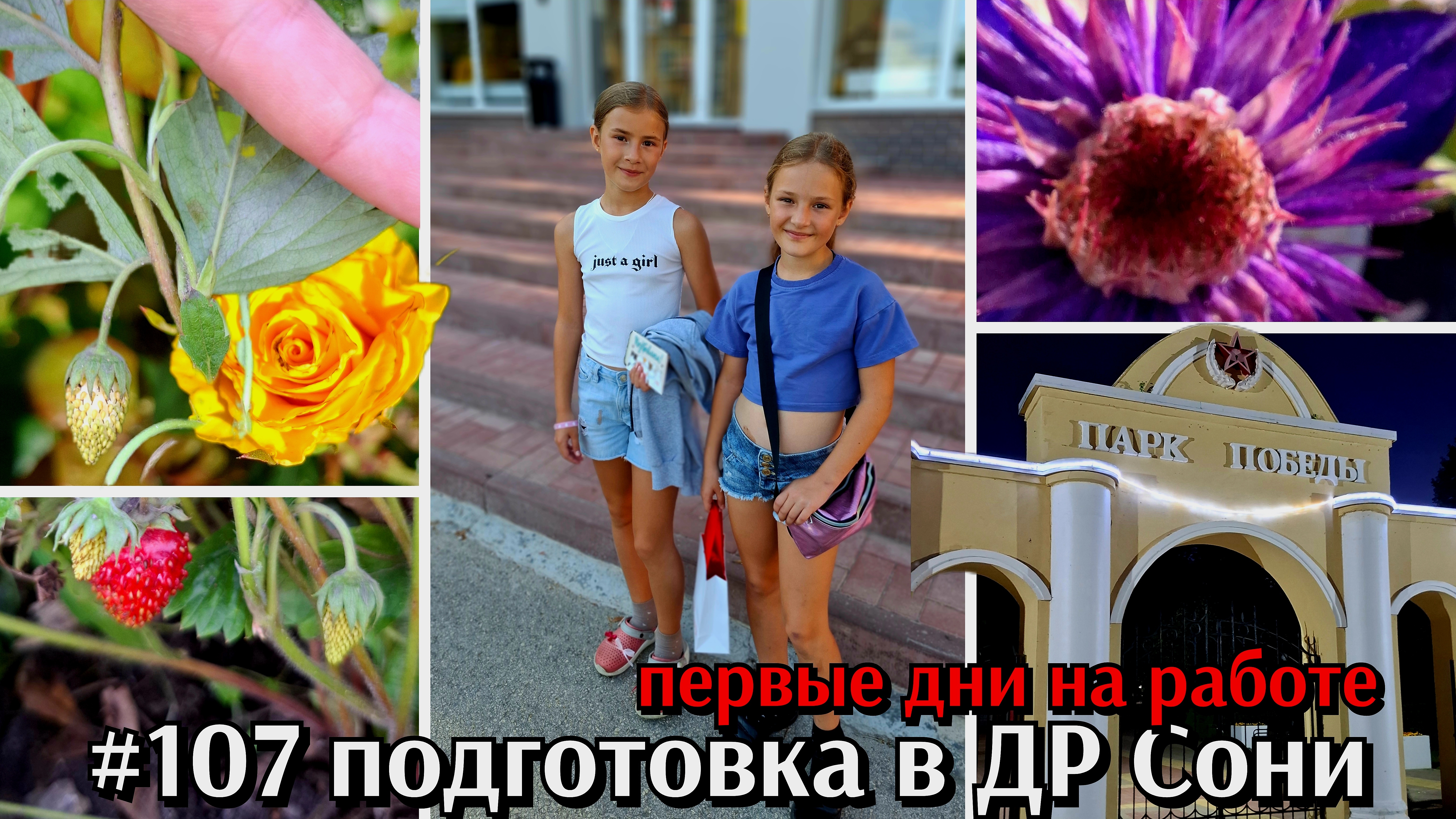 #107 готовлюсь к дню рождения Сони / первые рабочие дни / подарок от зрителя / у каждого свой путь
