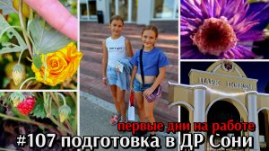 #107 готовлюсь к дню рождения Сони / первые рабочие дни / подарок от зрителя / у каждого свой путь