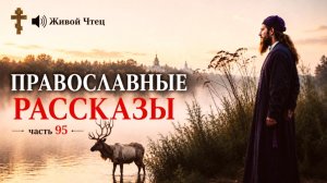 БОГАТАЯ СВЕКРОВЬ ИЗ ИТАЛИИ ГНОБИЛА НЕВЕСТКУ... ЛУЧШИЕ ПРАВОСЛАВНЫЕ РАССКАЗЫ часть 95