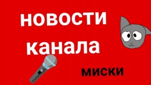 новости