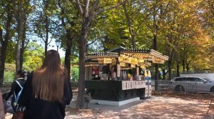 Солнечная летняя прогулка по Парижу от Елисейских Полей до Тюильри ☀️