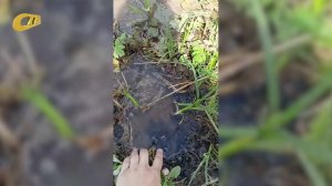 ЖИТЕЛЬНИЦА МИКРОРАЙОНА ТРУБИЧИНО ПОЖАЛОВАЛАСЬ НА СОТРУДНИКОВ «ГОРВОДОКАНАЛА»
