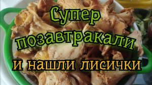 Ленивая пицца на завтрак и поиск лисичек