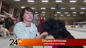 Выставка собак «Кара алтын»