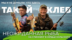 Мы и не думали, что здесь ТАКОЙ клёв! Неожиданная рыба на спиннинг в сердце Кольского.