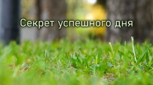 Настройки 25 июля / иная реальность / контекст дня
