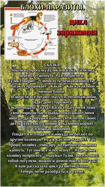 Ветклиника